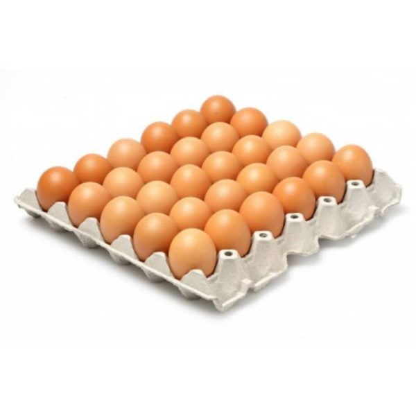 Oeufs-plateau de 30pcs